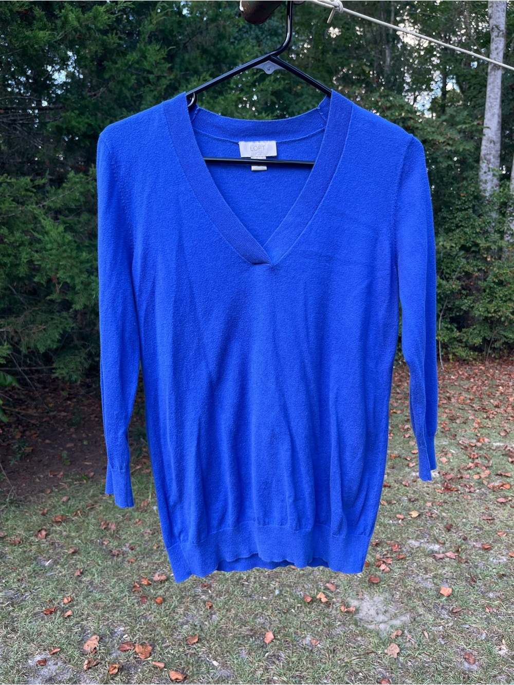 LOFT Cobalt Blue V-Neck Sweater
